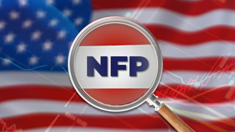 A Complete Guide to Boost your NFP Game this Year!